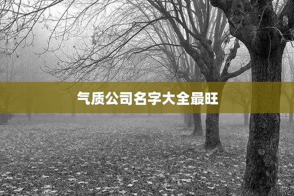 气质公司名字大全最旺