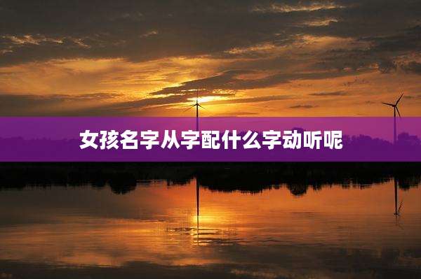 女孩名字从字配什么字动听呢