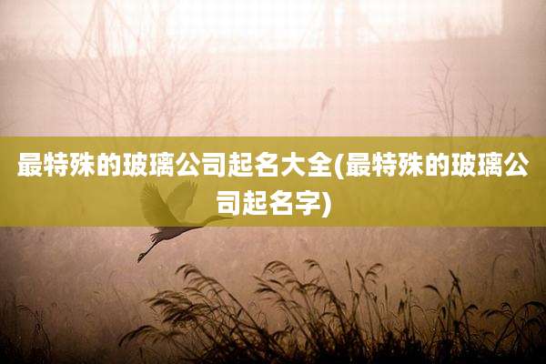 最特殊的玻璃公司起名大全(最特殊的玻璃公司起名字)