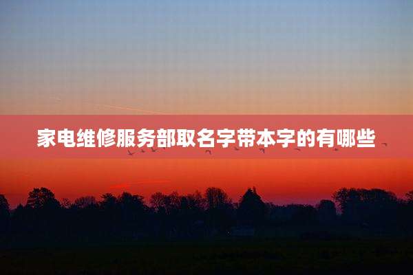 家电维修服务部取名字带本字的有哪些