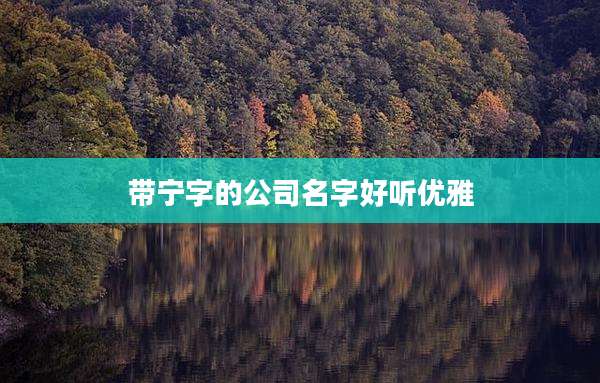 带宁字的公司名字好听优雅