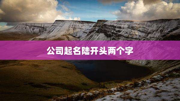 公司起名陆开头两个字