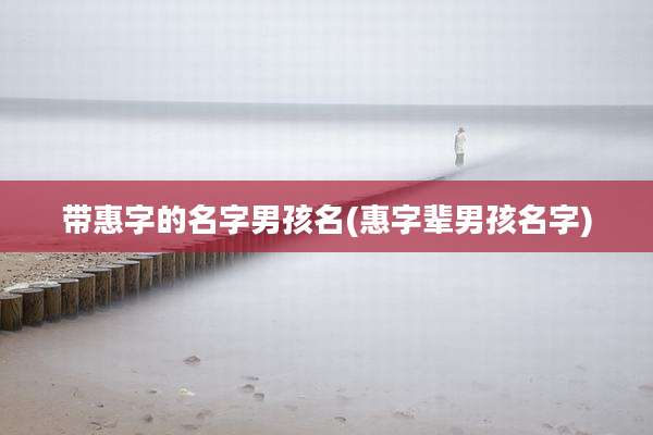 带惠字的名字男孩名(惠字辈男孩名字)