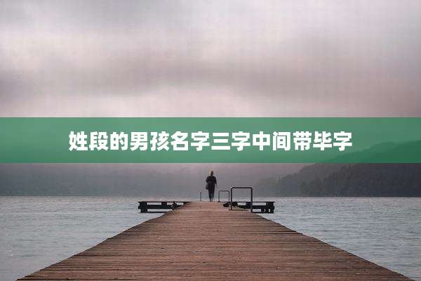 姓段的男孩名字三字中间带毕字