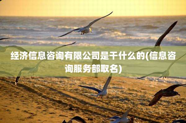 经济信息咨询有限公司是干什么的(信息咨询服务部取名)