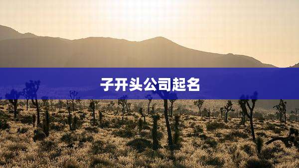 子开头公司起名
