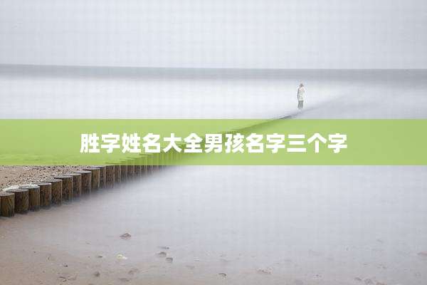 胜字姓名大全男孩名字三个字