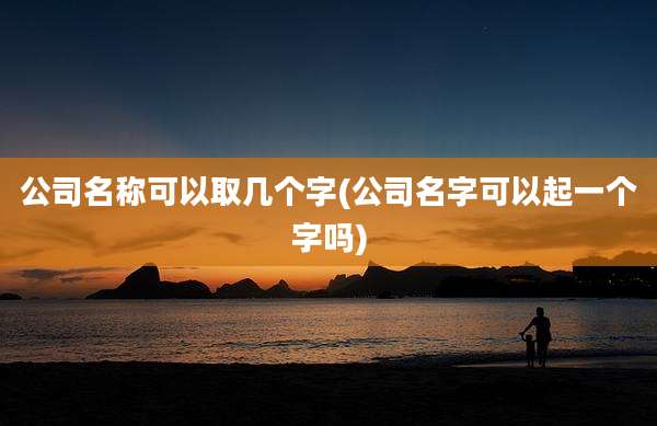 公司名称可以取几个字(公司名字可以起一个字吗)