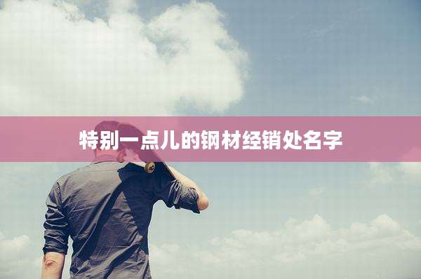 特别一点儿的钢材经销处名字