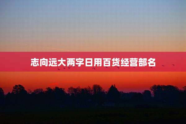 志向远大两字日用百货经营部名
