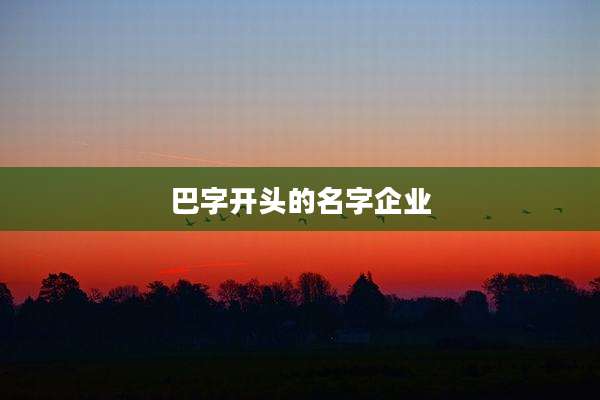 巴字开头的名字企业