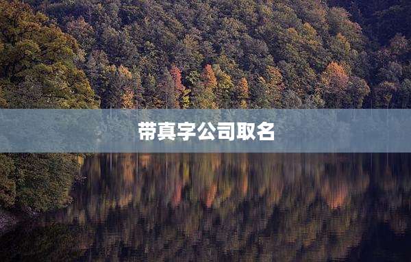 带真字公司取名
