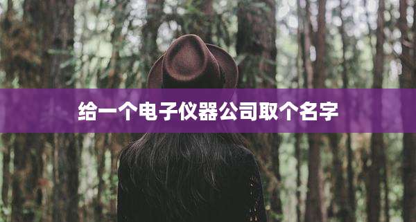 给一个电子仪器公司取个名字