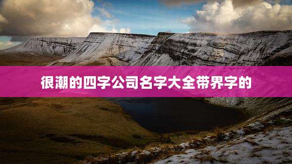 很潮的四字公司名字大全带界字的