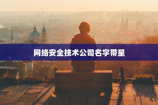 网络安全技术公司名字带星