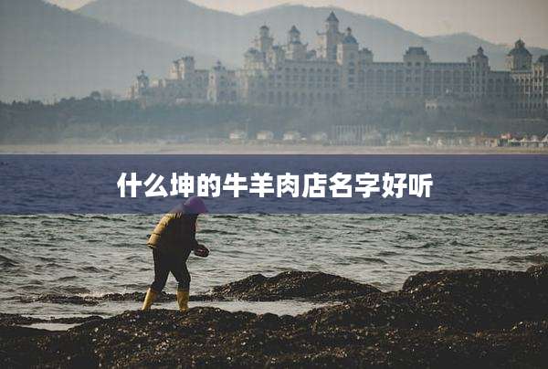 什么坤的牛羊肉店名字好听