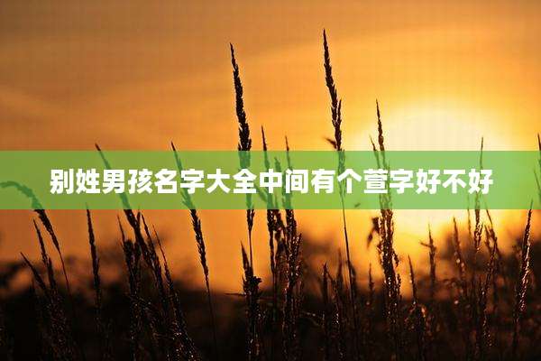 别姓男孩名字大全中间有个萱字好不好