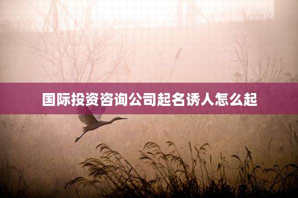 国际投资咨询公司起名诱人怎么起
