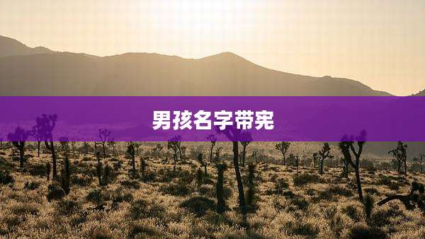 男孩名字带宪