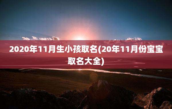 2020年11月生小孩取名(20年11月份宝宝取名大全)