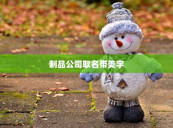 制品公司取名带美字