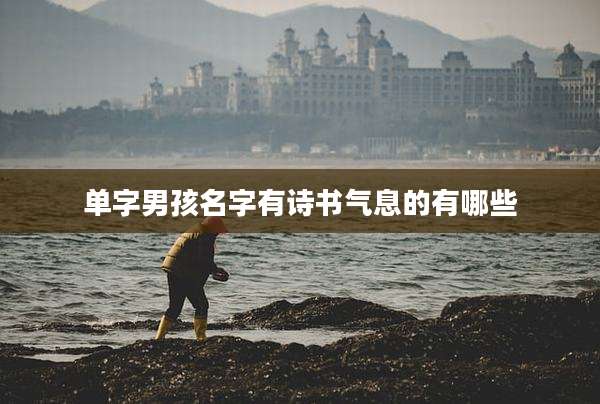 单字男孩名字有诗书气息的有哪些