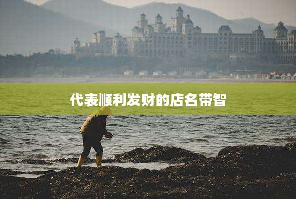 代表顺利发财的店名带智