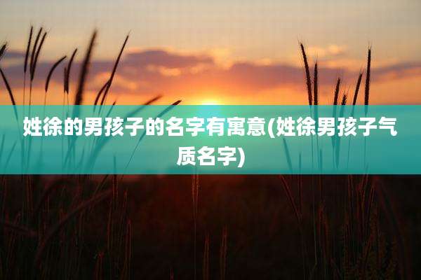 姓徐的男孩子的名字有寓意(姓徐男孩子气质名字)
