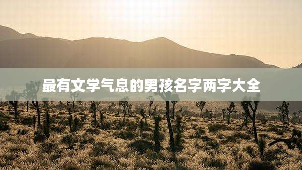 最有文学气息的男孩名字两字大全