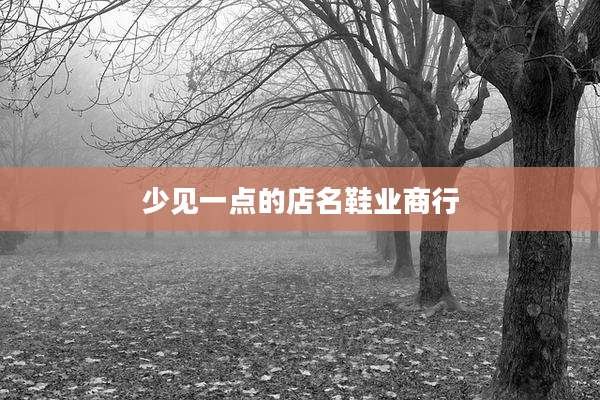少见一点的店名鞋业商行