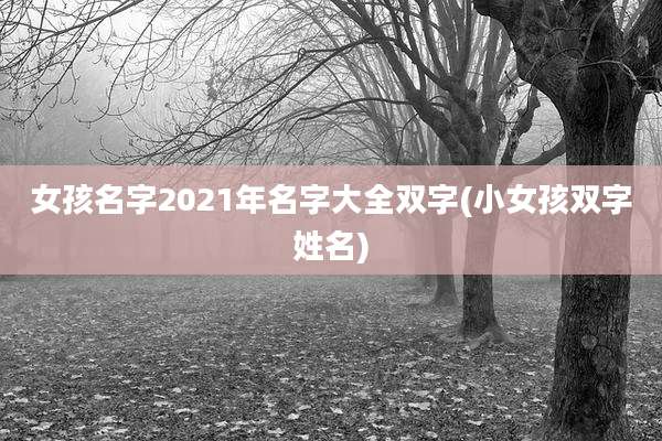 女孩名字2021年名字大全双字(小女孩双字姓名)