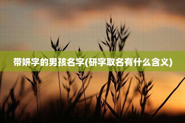 带妍字的男孩名字(研字取名有什么含义)