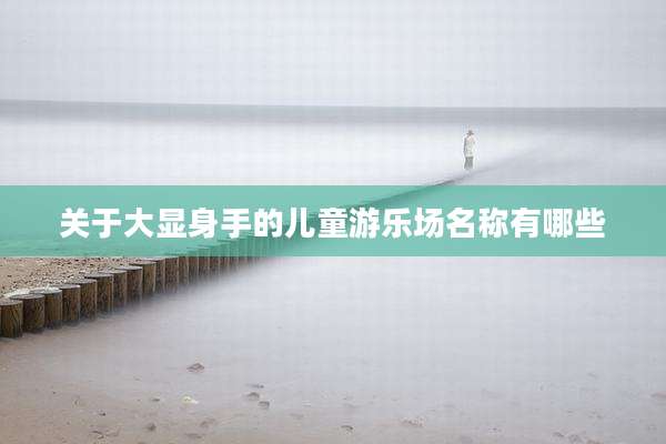 关于大显身手的儿童游乐场名称有哪些