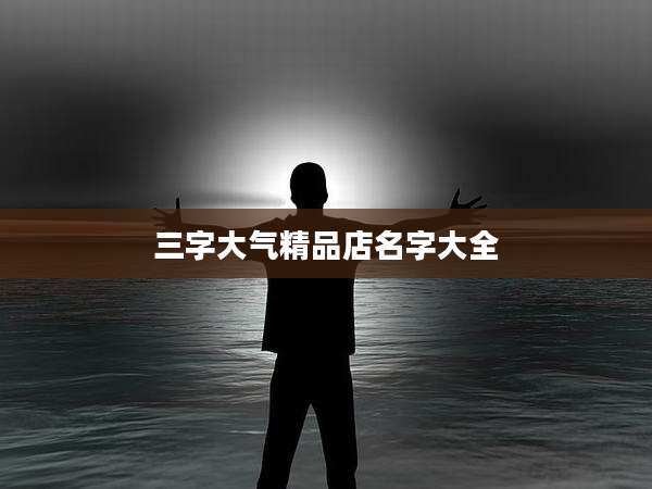 三字大气精品店名字大全