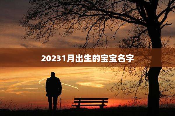20231月出生的宝宝名字