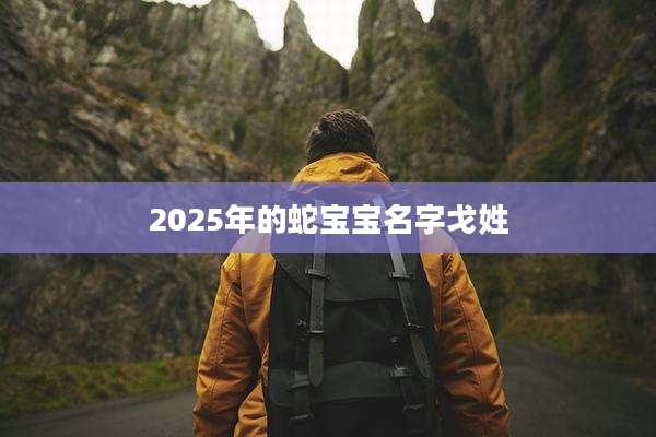 2025年的蛇宝宝名字戈姓