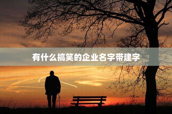 有什么搞笑的企业名字带建字
