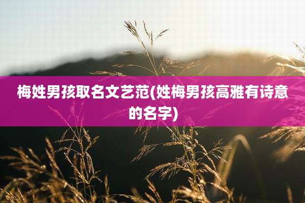 梅姓男孩取名文艺范(姓梅男孩高雅有诗意的名字)