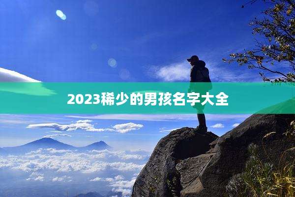 2023稀少的男孩名字大全