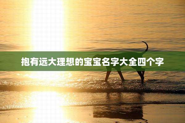抱有远大理想的宝宝名字大全四个字