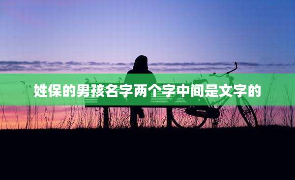 姓保的男孩名字两个字中间是文字的