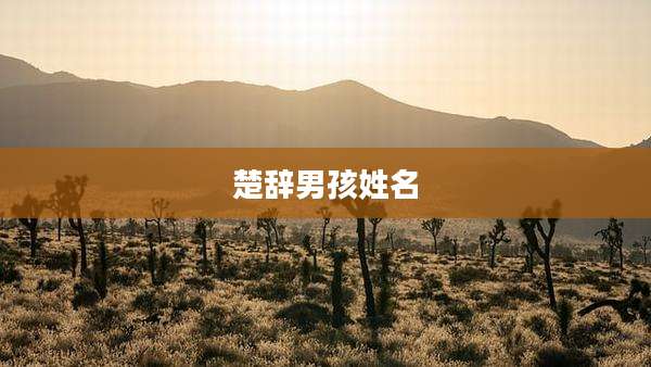楚辞男孩姓名
