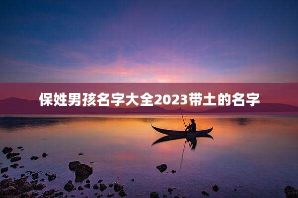保姓男孩名字大全2023带土的名字