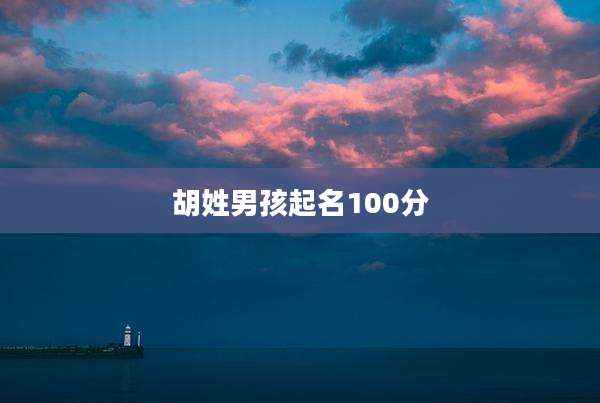 胡姓男孩起名100分