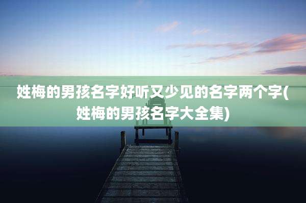 姓梅的男孩名字好听又少见的名字两个字(姓梅的男孩名字大全集)