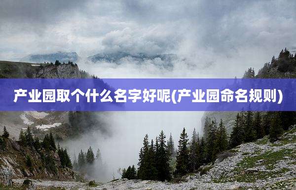产业园取个什么名字好呢(产业园命名规则)