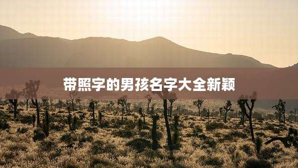 带照字的男孩名字大全新颖