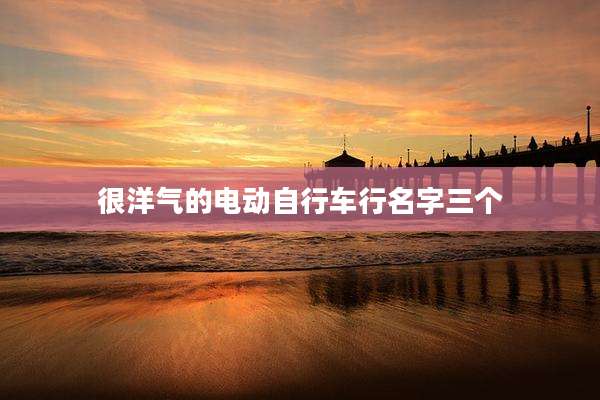 很洋气的电动自行车行名字三个