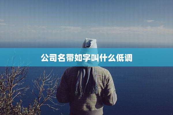 公司名带如字叫什么低调