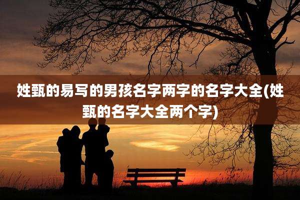 姓甄的易写的男孩名字两字的名字大全(姓甄的名字大全两个字)